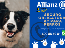 Seguro obligatorio de responsabilidad civil para perros